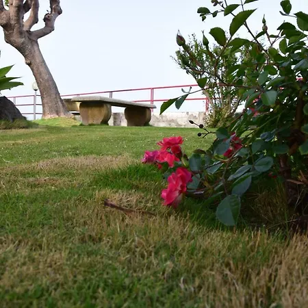Seahome *